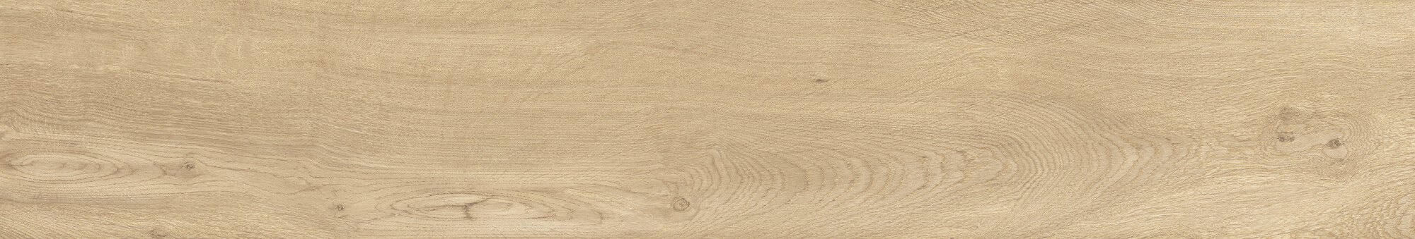 41726 Bloom Honey SP/24x151x0,9/R 24x151 Peronda