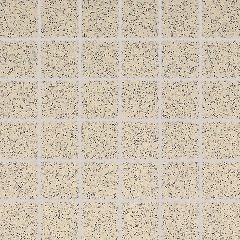 TDM06073 Taurus Granit 30x30 RAKO