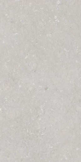 005487 Shellstone Bianco 60x120 Dado Ceramica