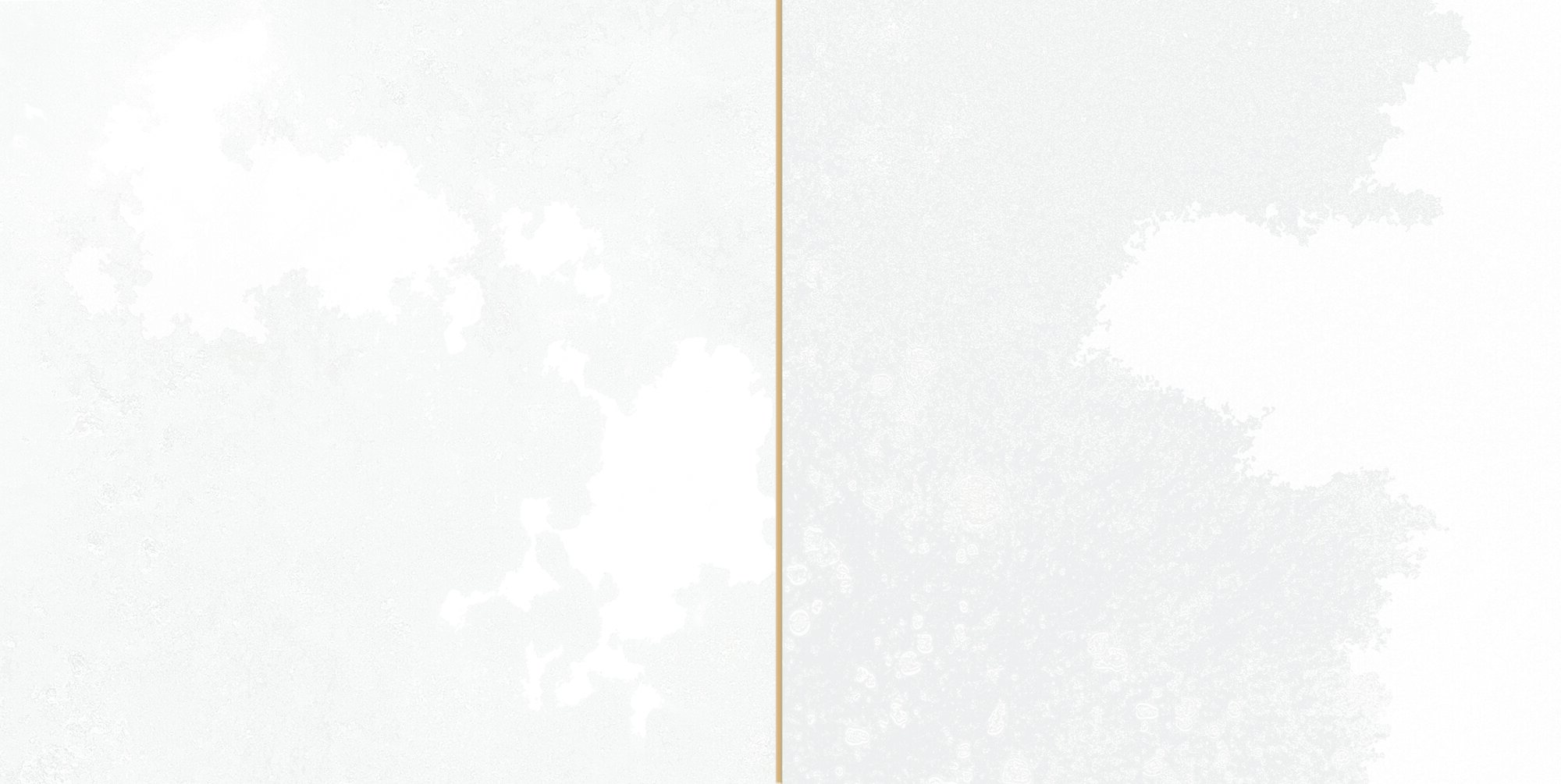 30896 FS Tradition Square White 20x40 Peronda фото 11