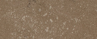 Buxy Noisette 50x100 Kerlite