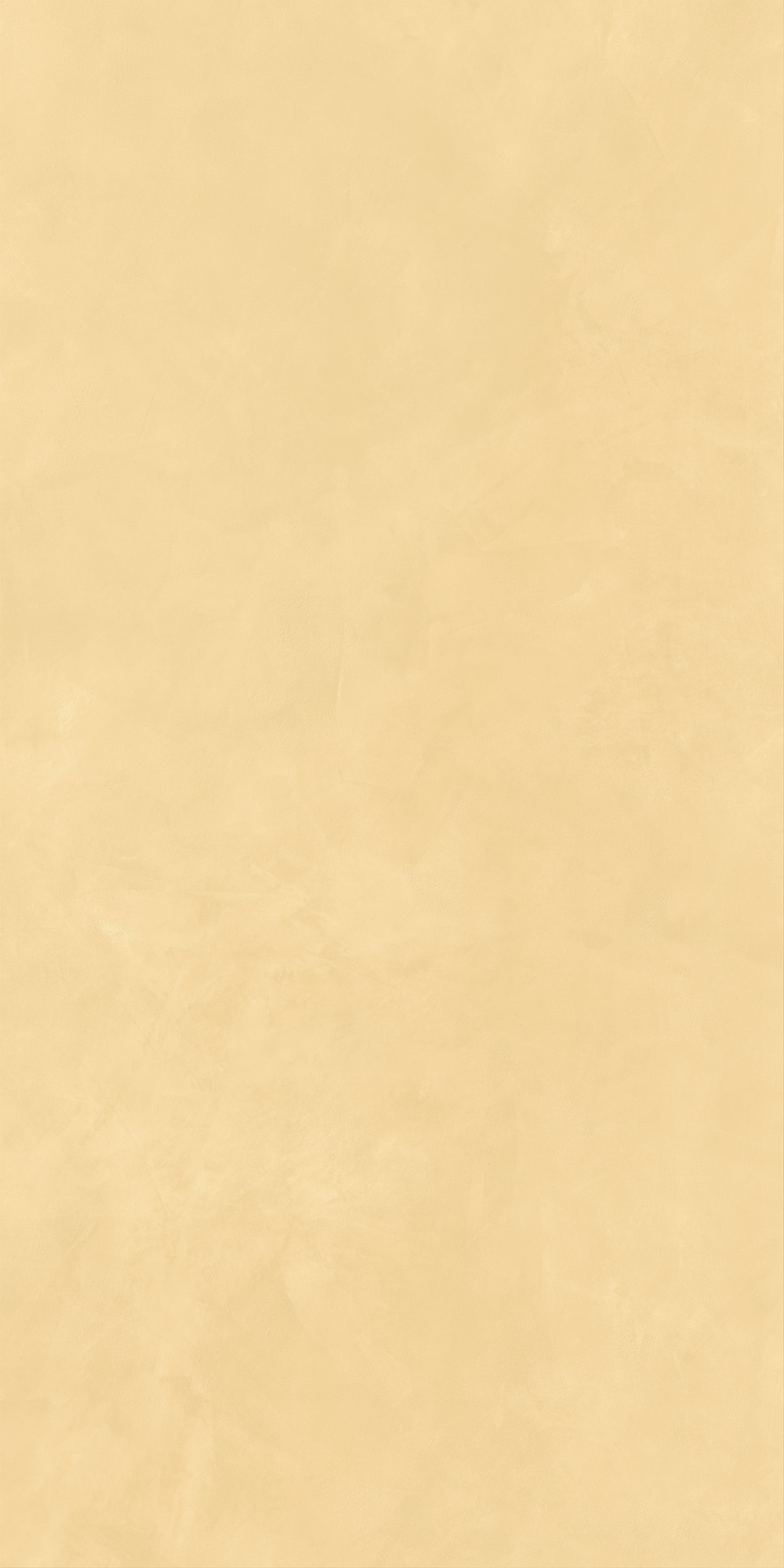 AHEE Join Mango Soft 60x120 Caesar