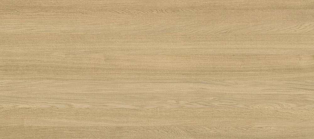 100348292 Xlight Cadore Arce Nature 120х270 Urbatek