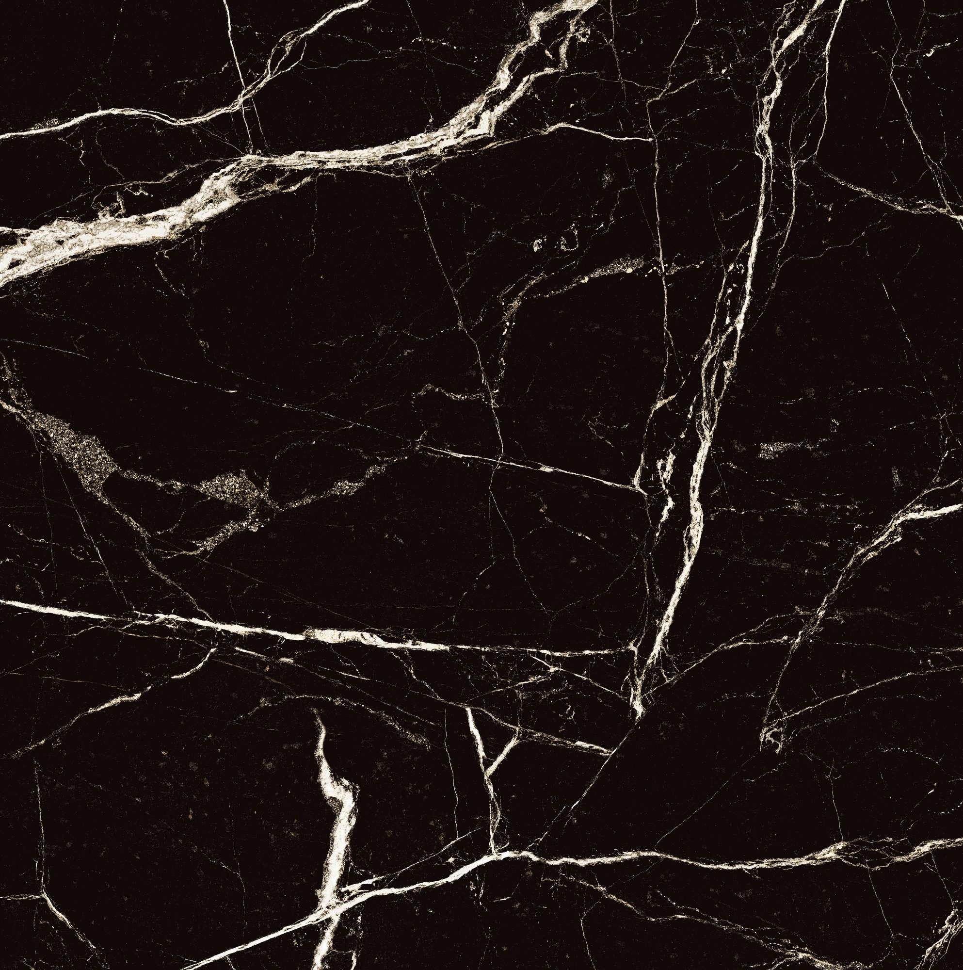 HG2008-A Black Spinder High Gloss 60x60 Arcadia Ceramica