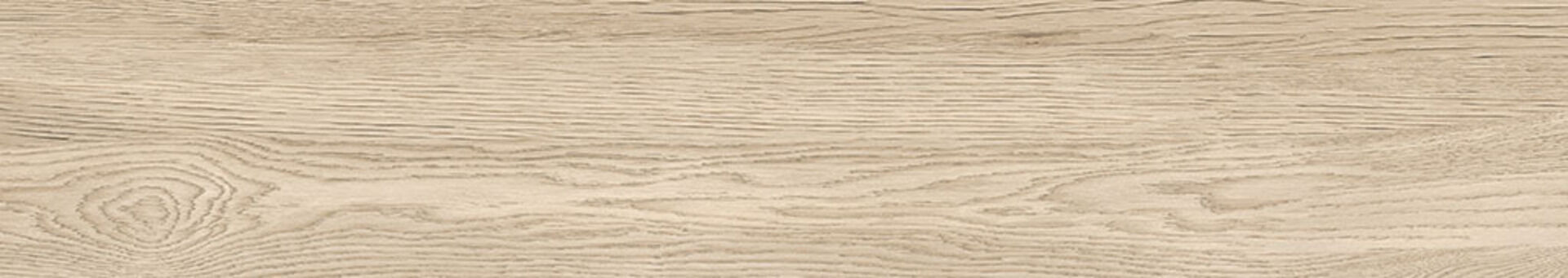 Missouri Ivory 20x120 Gravita