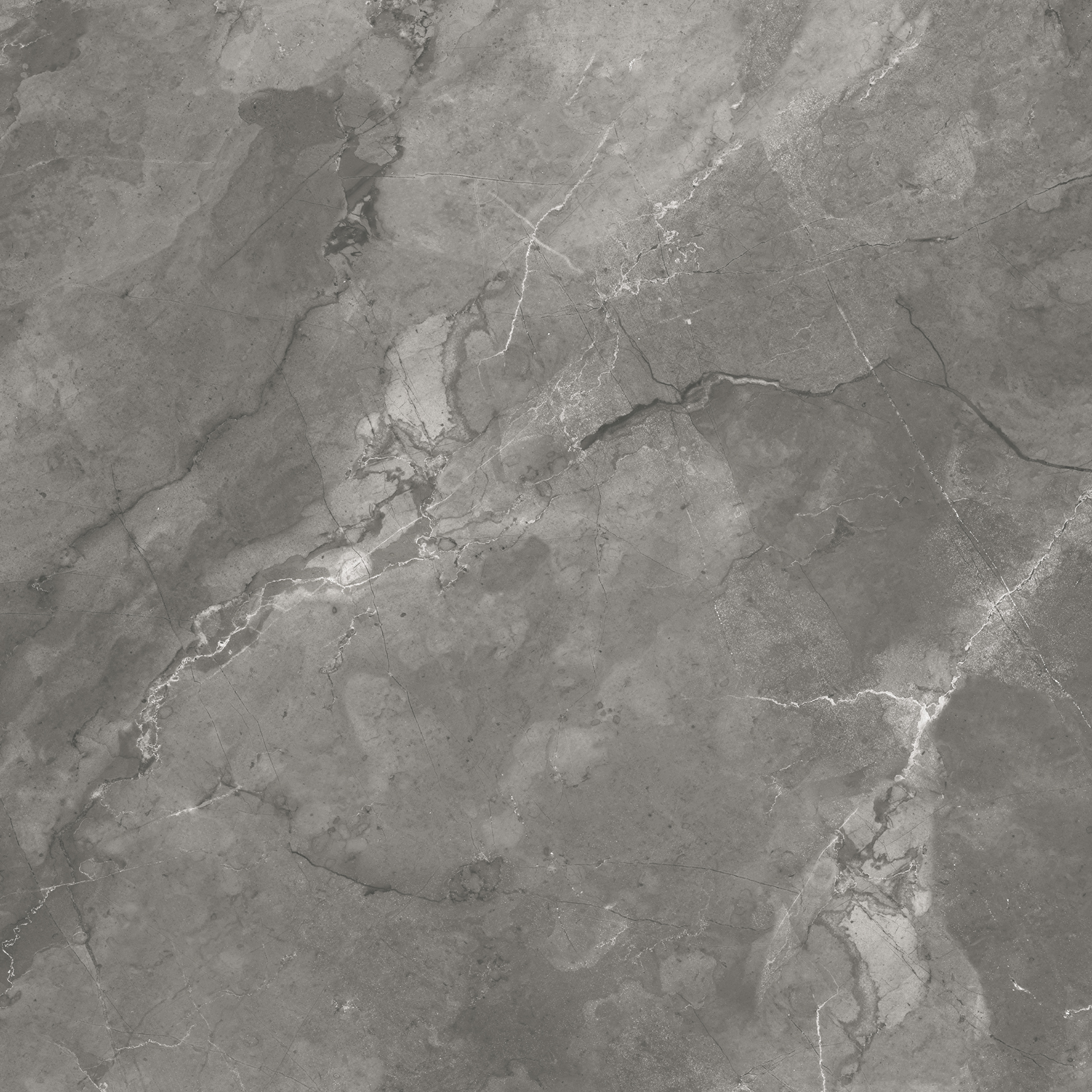 CR6020-A Bismanto Grey Carving 60x60 Arcadia Ceramica фото 2