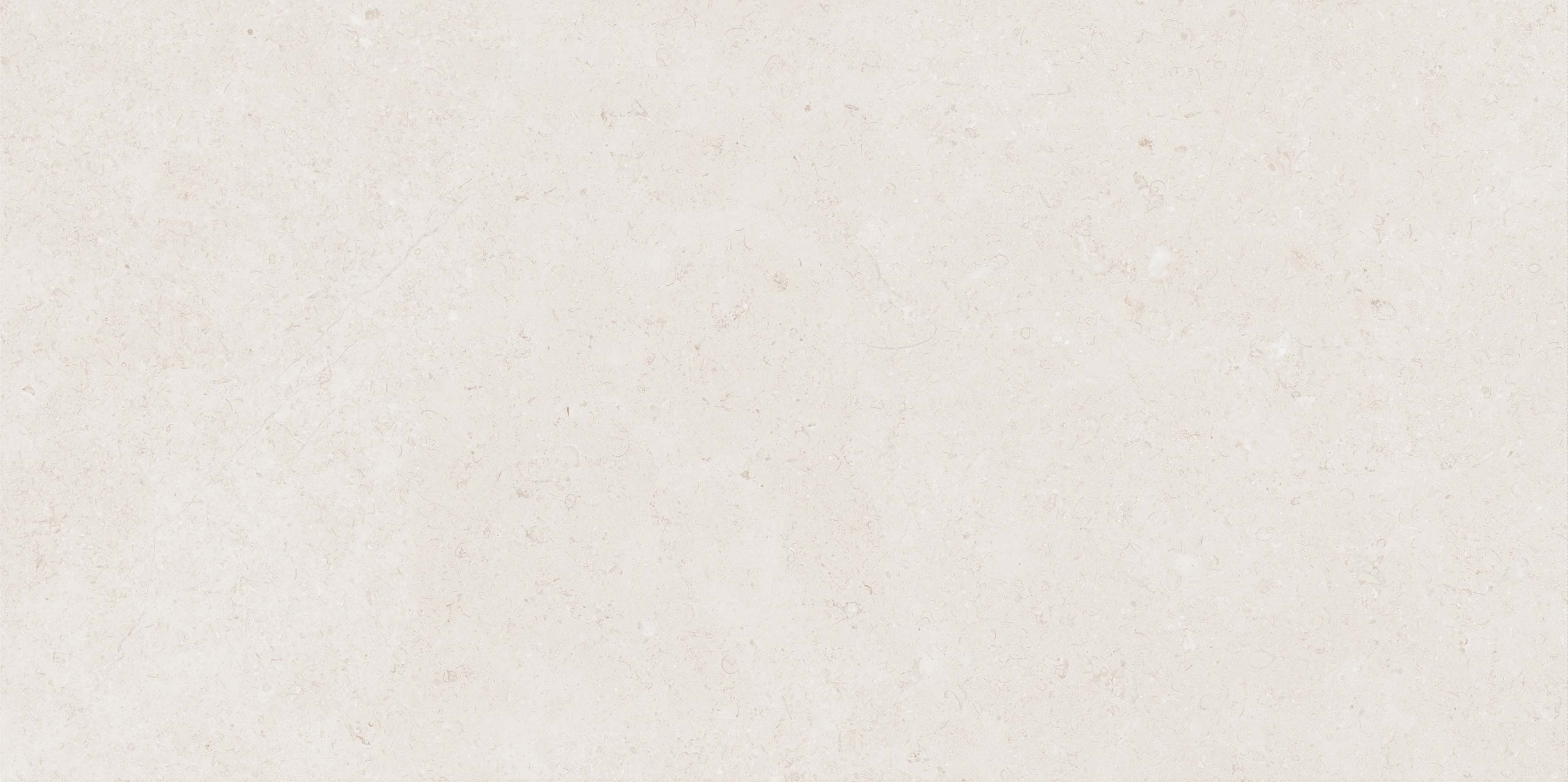 Mistic Light Grey Gloss 60x120 Realistik
