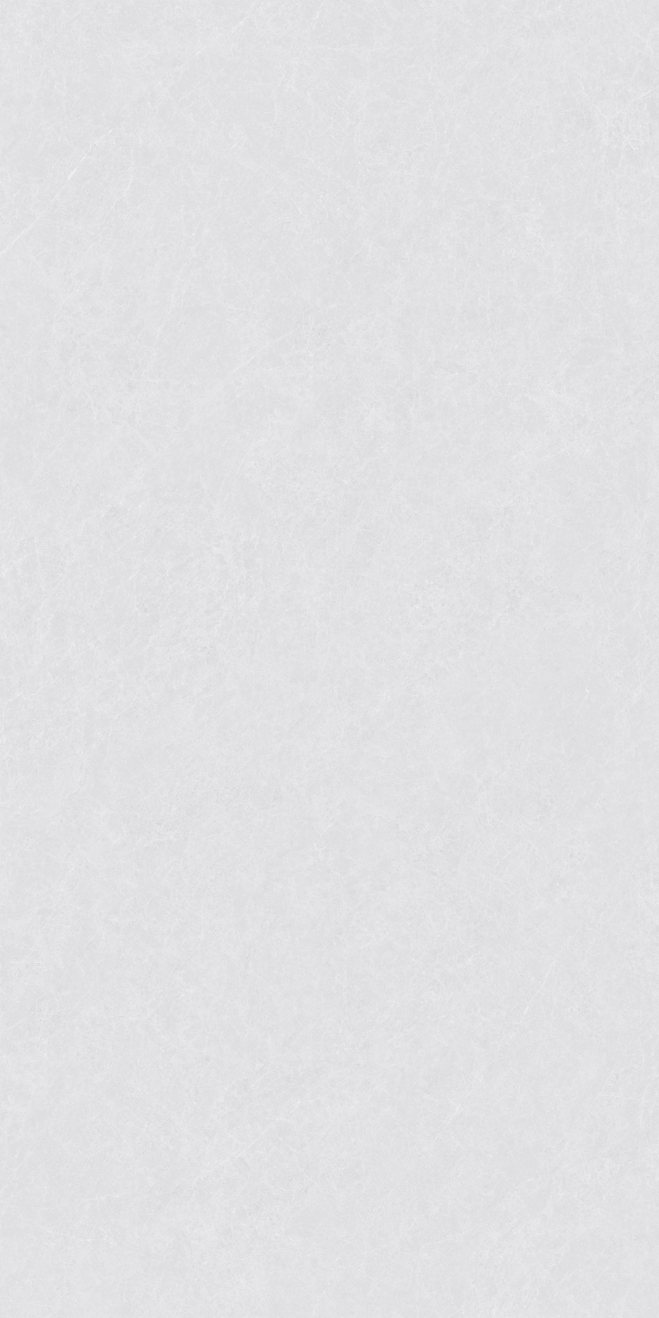 ZA-L12502 Пепел Матовый 1200x600x9 Vizavi фото 3