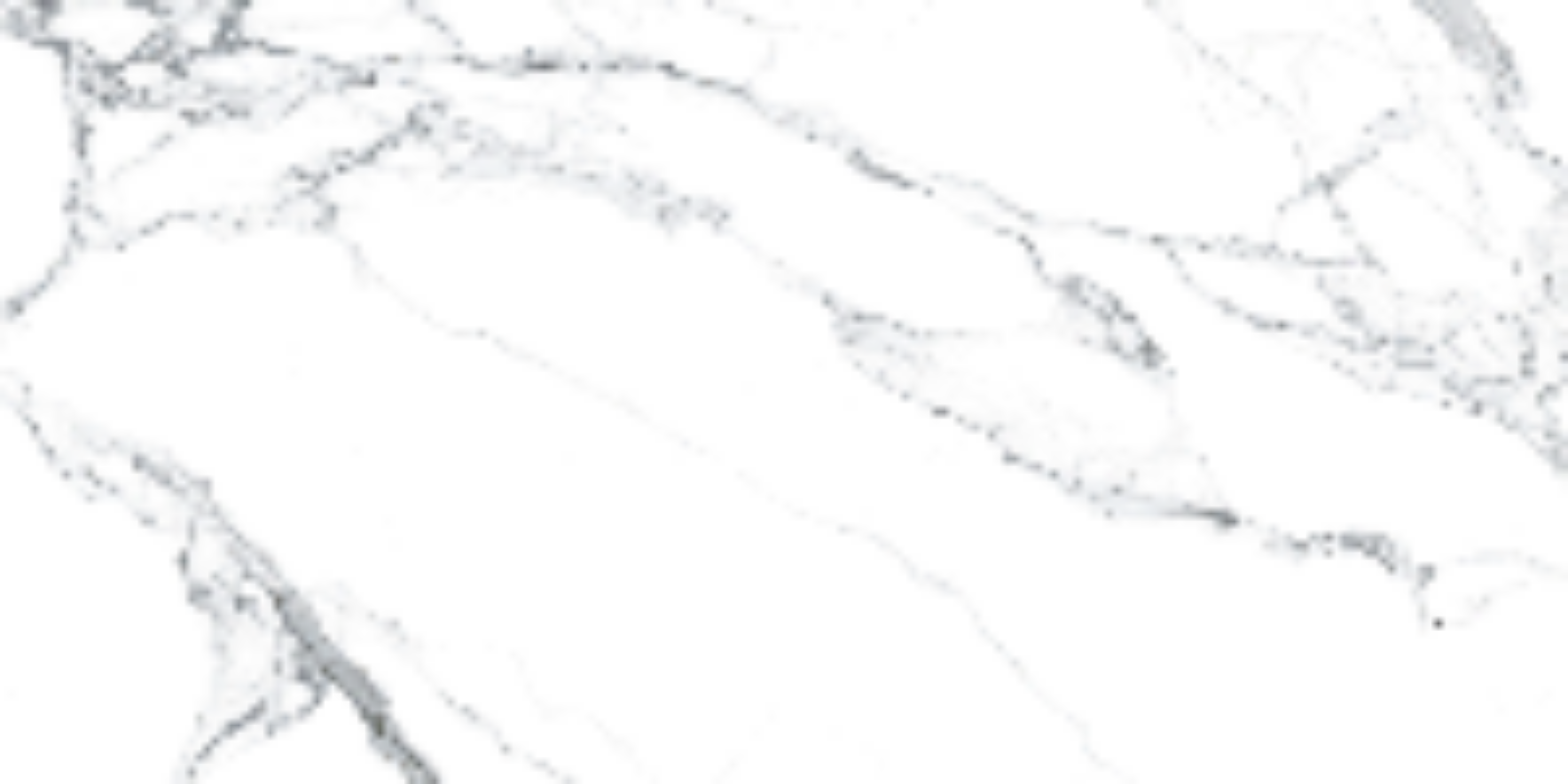 Statuariett White Natural 60x120 Prissmacer