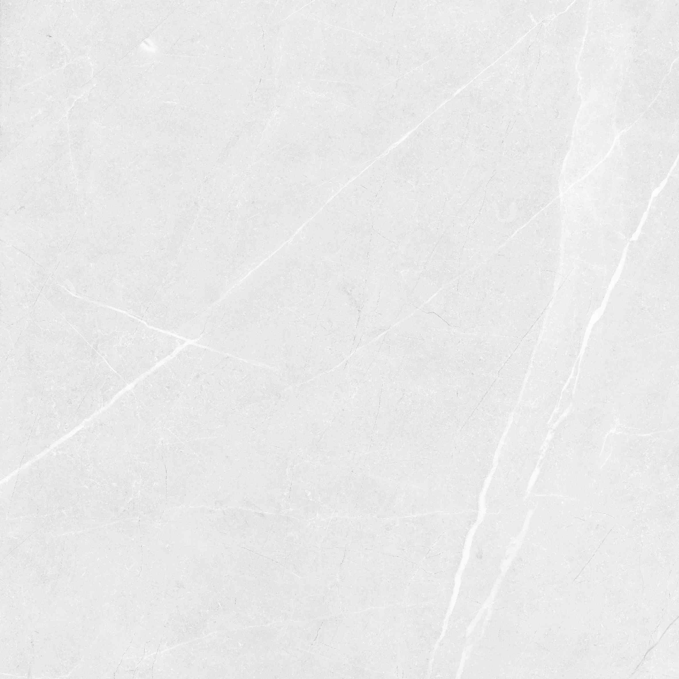 Vibrant Bianco Carving 60x60 BELLEZA фото 4