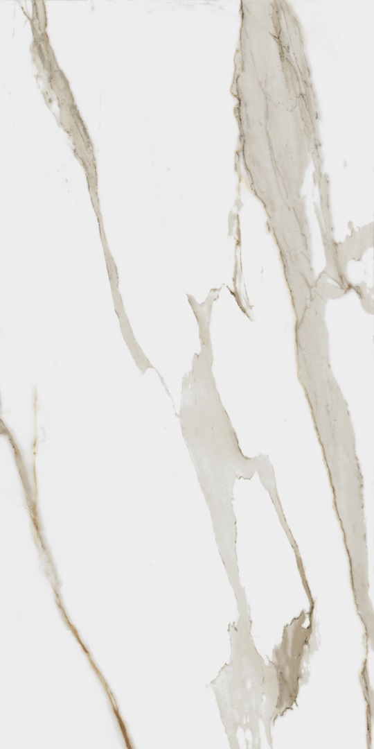 610010001411 Charme Evo Calacatta Nat Rett 60x120 Italon