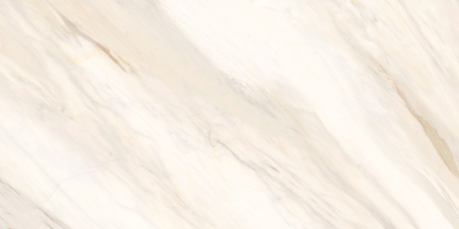 60120CAA01 Carolina Crema Sugar 600x1200x9.5 Delacora