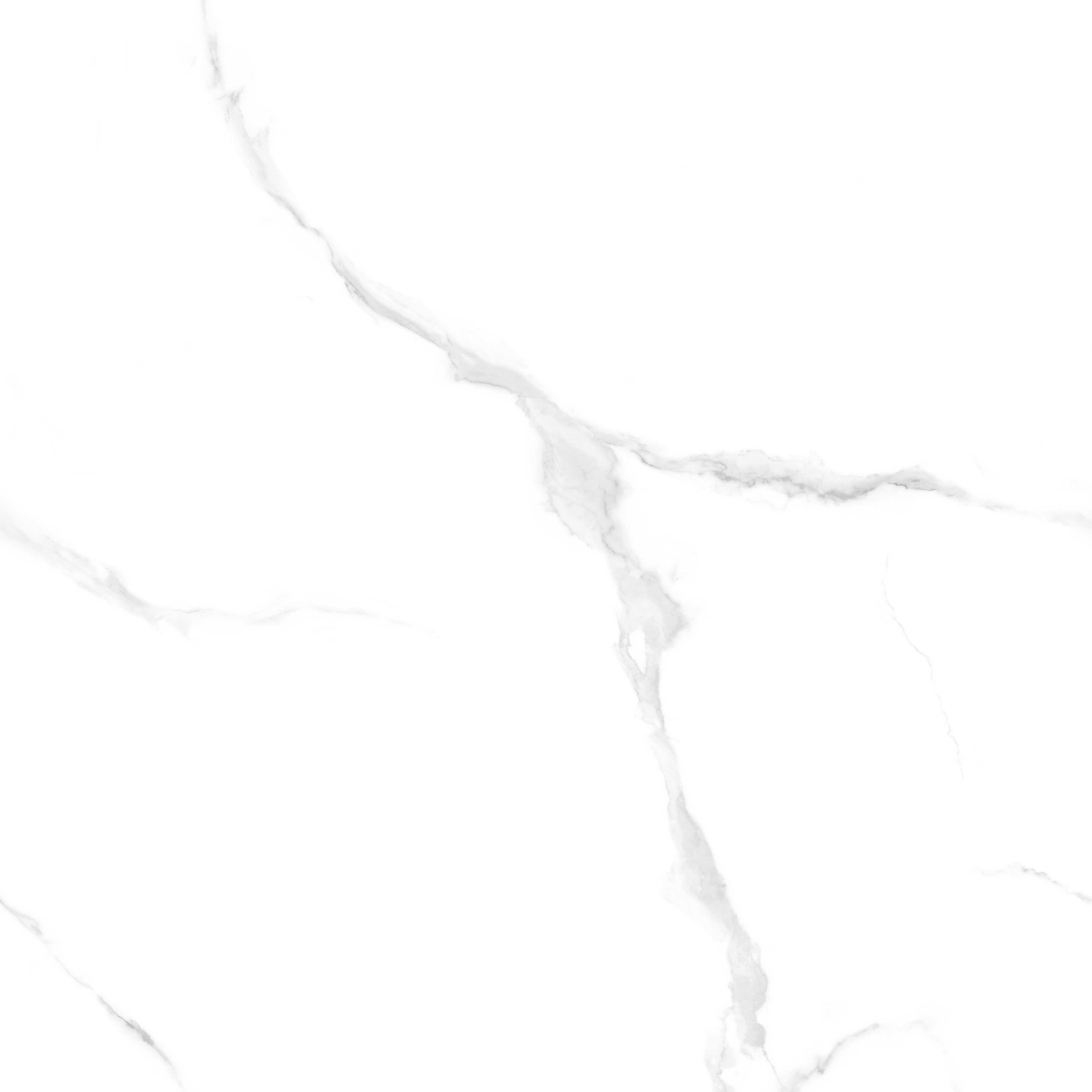 PT60J906 Snow Marble Carving 600х600х9 Protiles