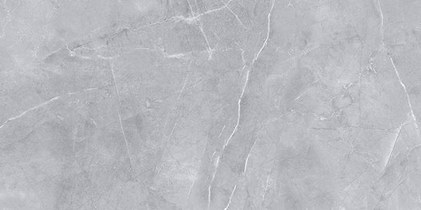 Amphora Light Grey 60x120 Gravita