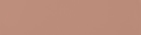 A037656 Flat Terracota 5х20 Ape Ceramica