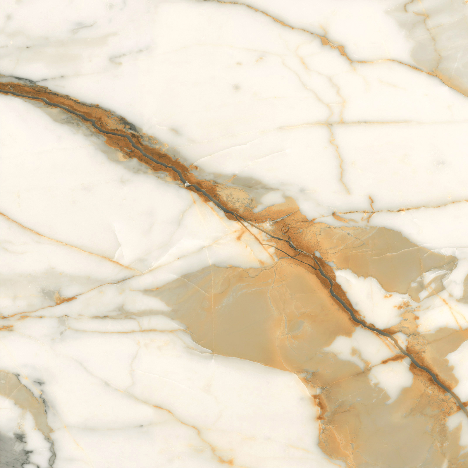 6060CBO55P Calacatta Borghini 60x60 LCM
