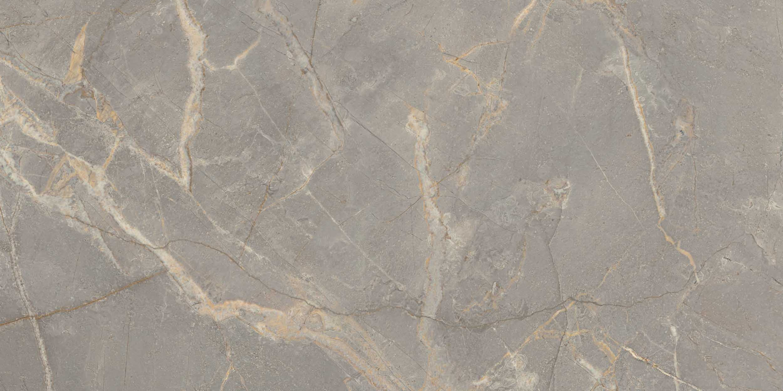 BR03 Bernini Grey полированный 60x120x10 Estima