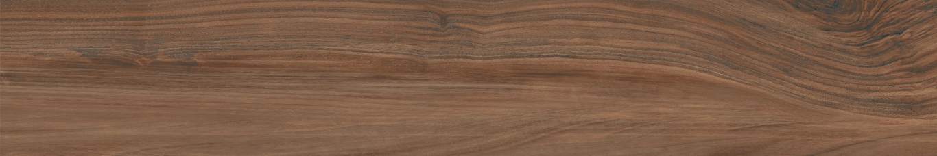 Boutonne Cognac Pulido R 20x120 Baldocer