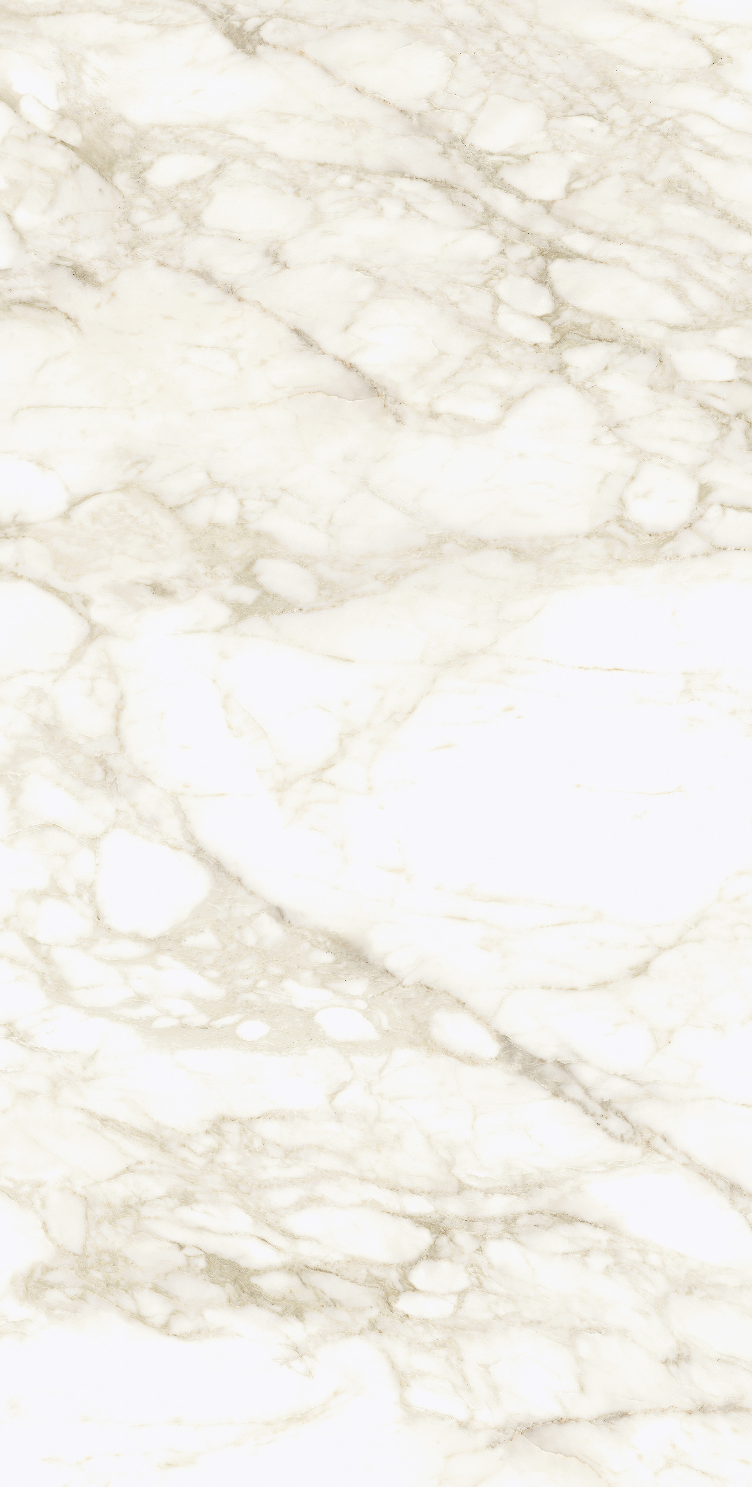 610010002745 Микеланджело Ворм 60x120 ColiseumGres