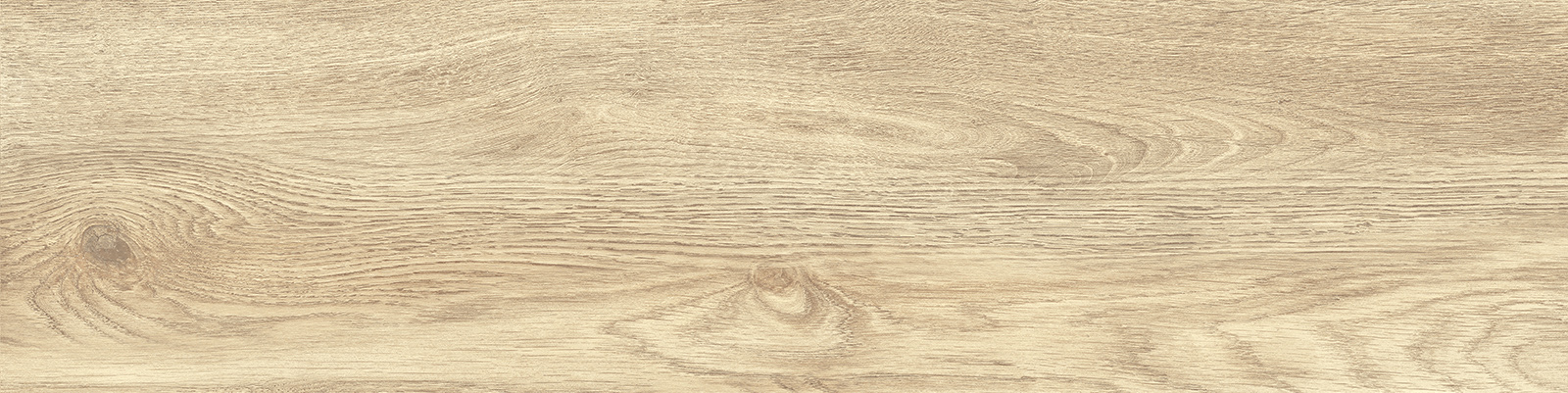 GP1560TAN01 Tanzania Crema матовый 151x602 New Trend