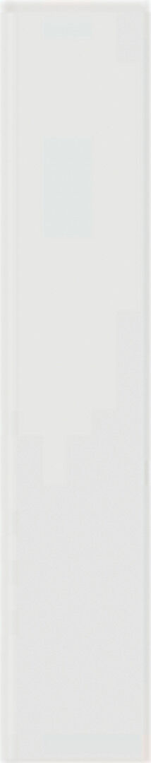 Plinto White Matt 10.7x54.2 DNA Tiles