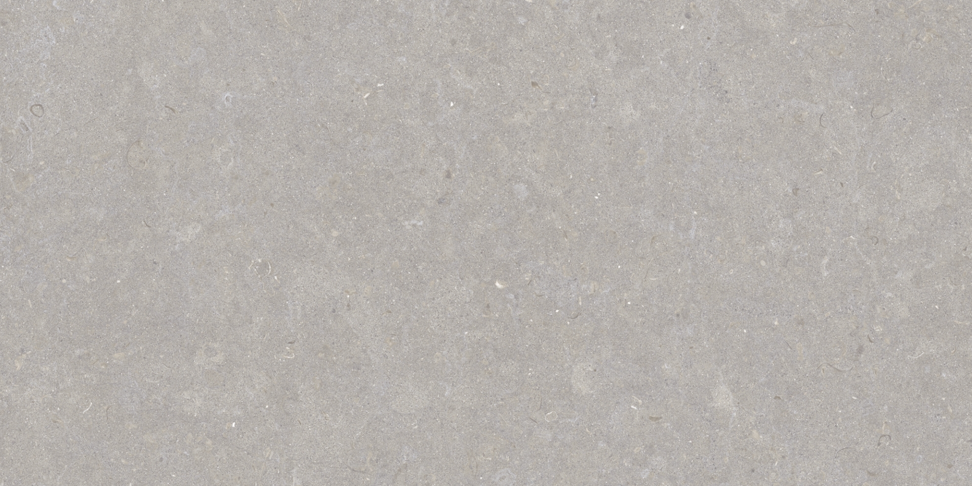 35568 Ghent Grey/50X100X2/A/R 50x100 Peronda фото 8