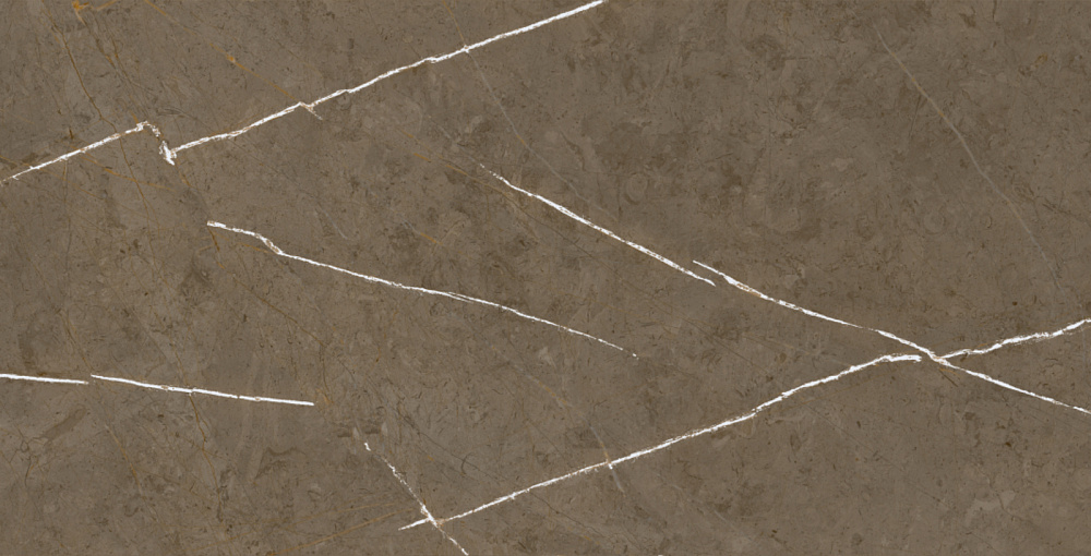BHM-5009 Stone Brown 3D ink-soft glaze 60x120 Basconi Home