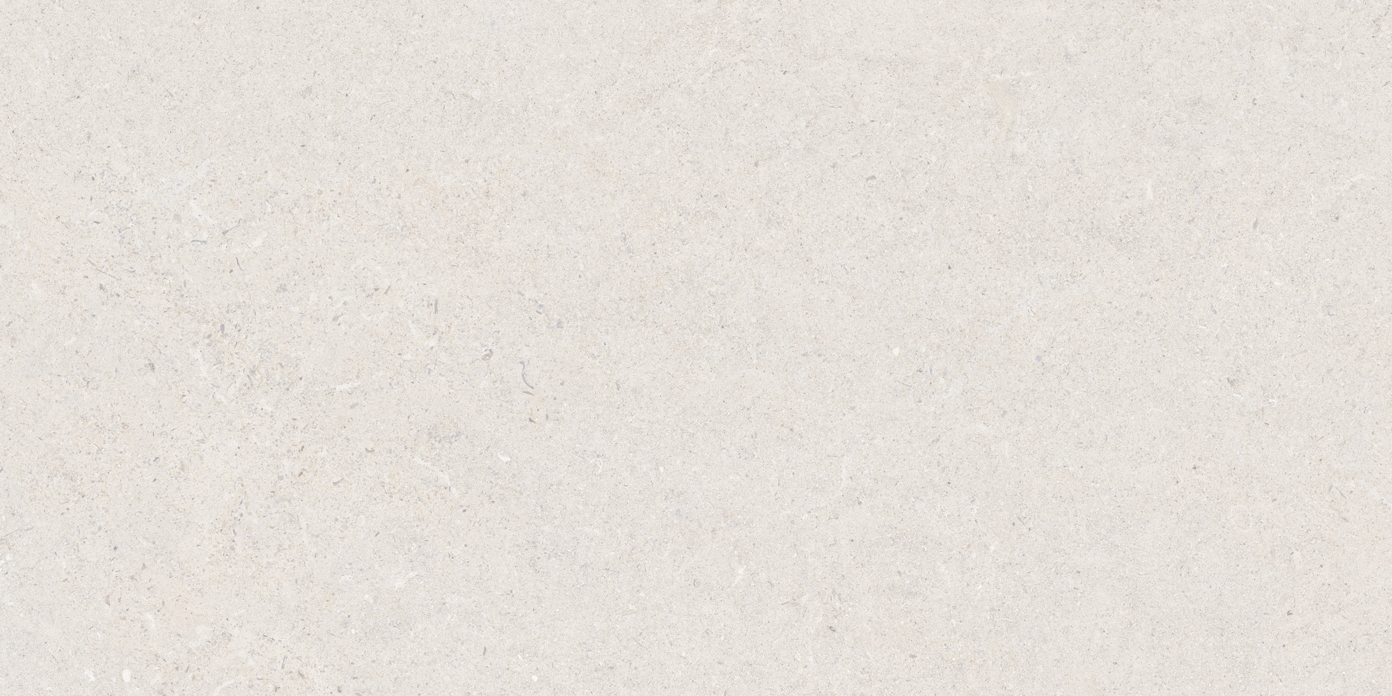 Calcare White 60x120 TAU Ceramica фото 5