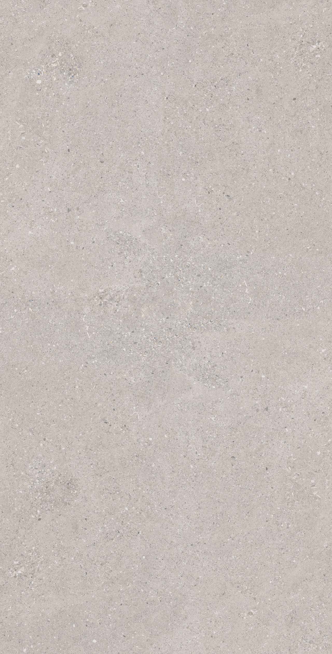 CE02 Спенс Светло-серый Структурированный Рект 60x120x9 Estima фото 3