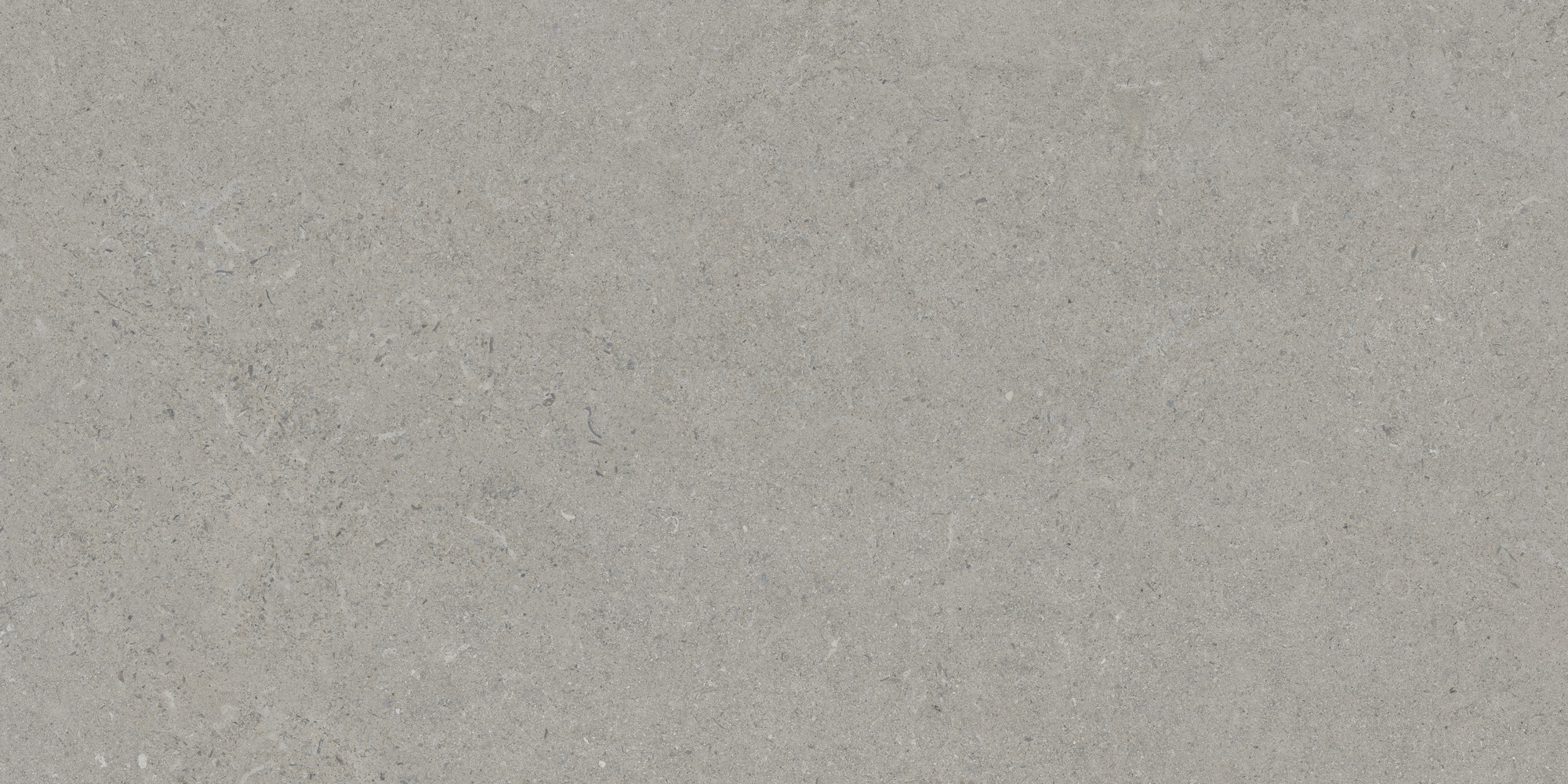 Calcare Silver 60x120 TAU Ceramica фото 4