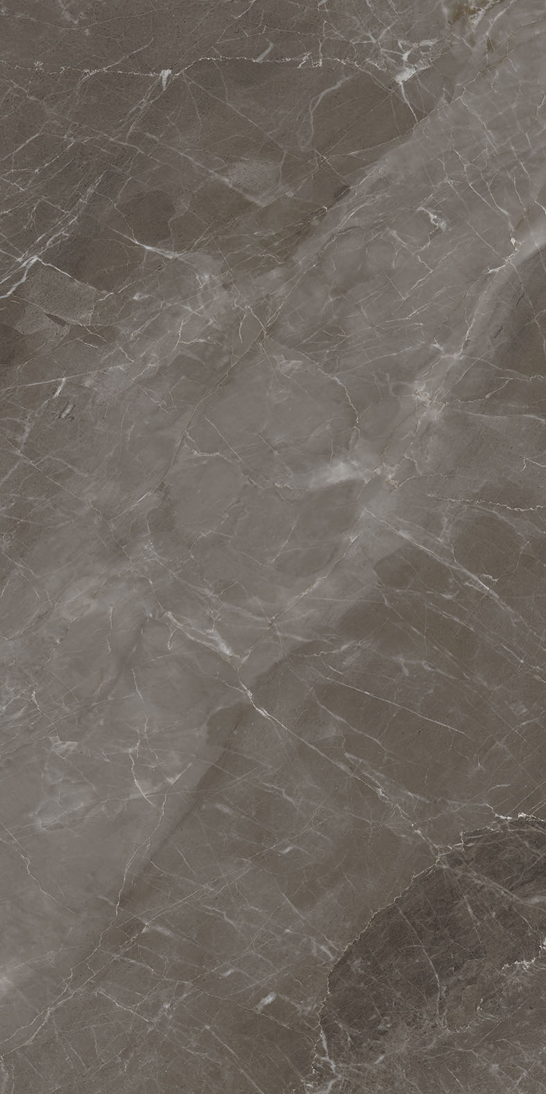 Craft French Grey Carving 60x120 BELLEZA фото 5