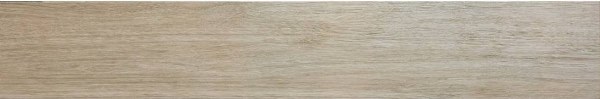 NFL 21RT Soia Rettificato 20x120 Novabell