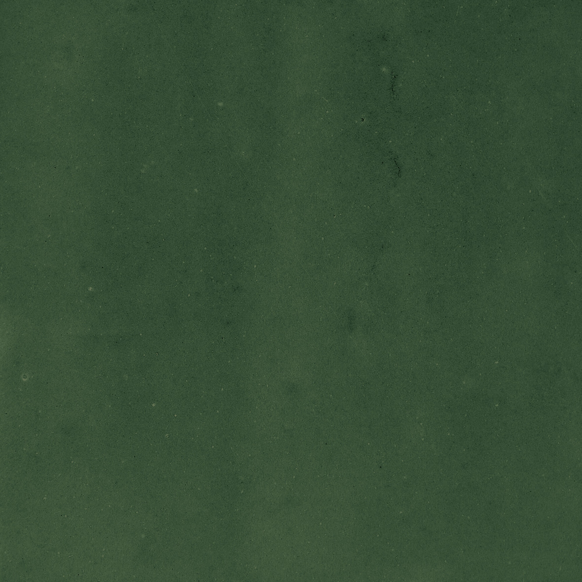 43289 Samira Green 10x10 Harmony фото 20