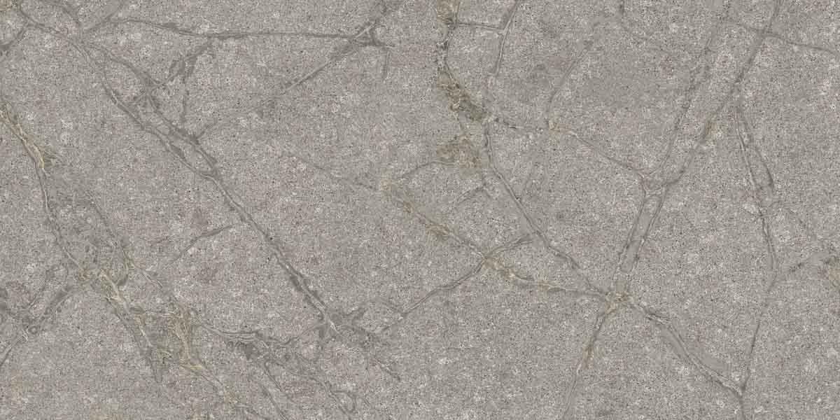 PF60011858 Supreme Memories Grey Soapstone Ant Ret 60x120 Flaviker