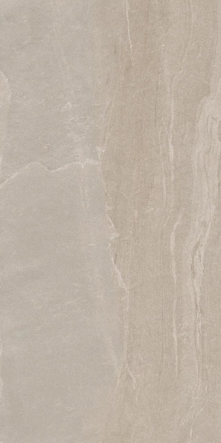 776452 Woodslate Life Dove Matte Ret 60x120 Cerim