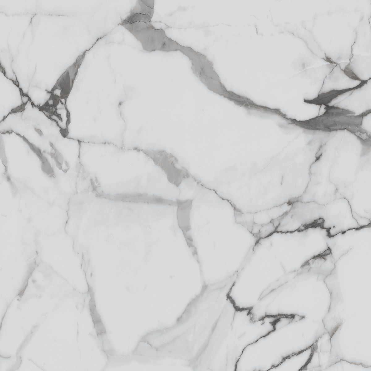 R_PR1002 Calacatta Luxe Polished 60x60 Royce