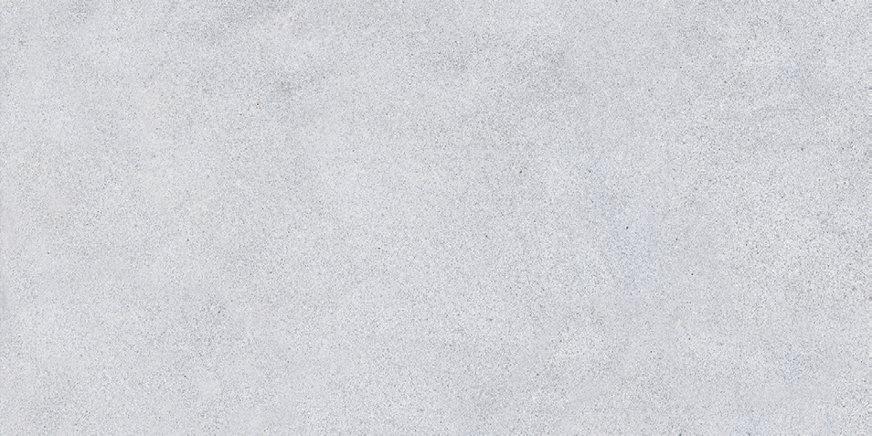 NR207 Maderas Light Grey 60x120 PrimaVera