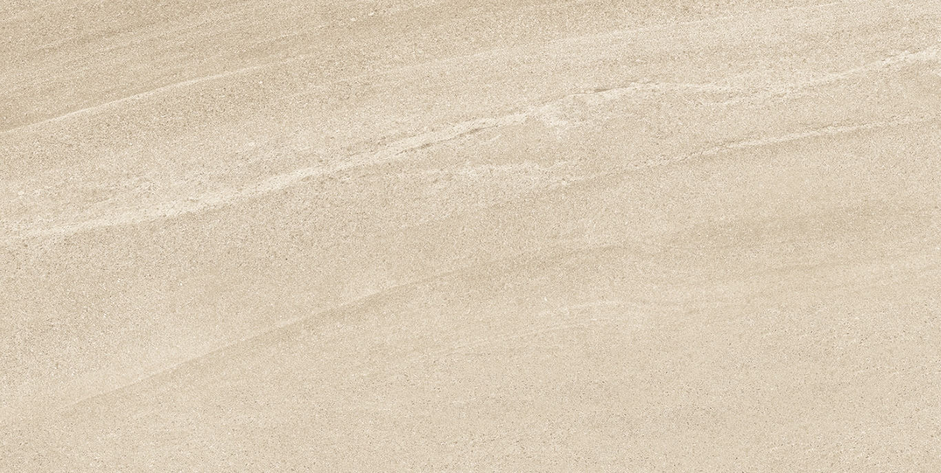 Eddystone Arena Matt 60x120 Geotiles