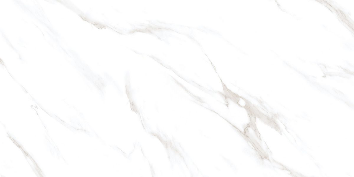 N40029 Statuario Royal Carving 60x120 Neodom