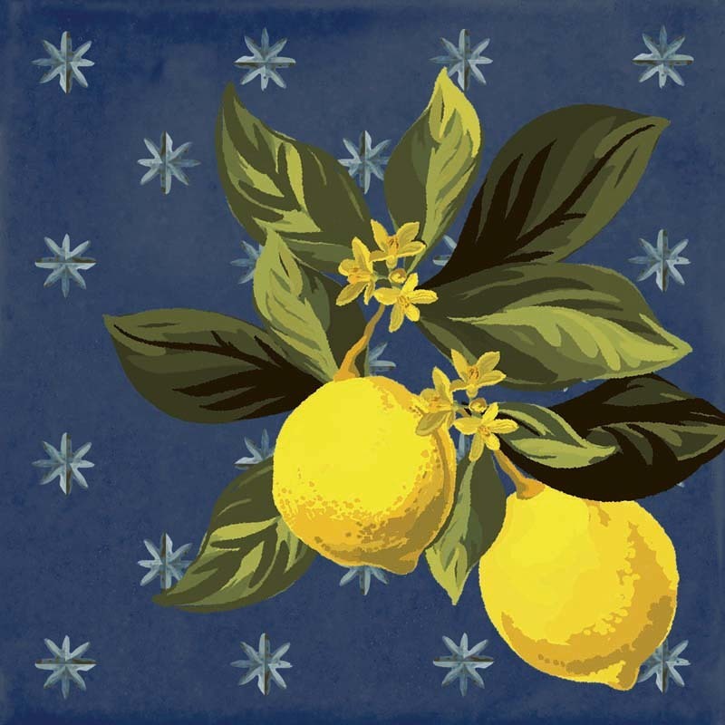 Giardino Blu Mix Luc 20x20 Sant Agostino