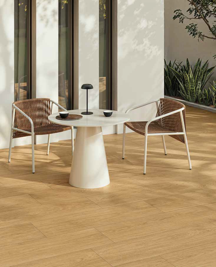 Аура X2 Italon фото 6