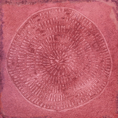 Carlo Granate-B 20x20 VIVES
