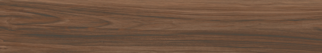 Boutonne Cognac Pulido R 20x120 Baldocer