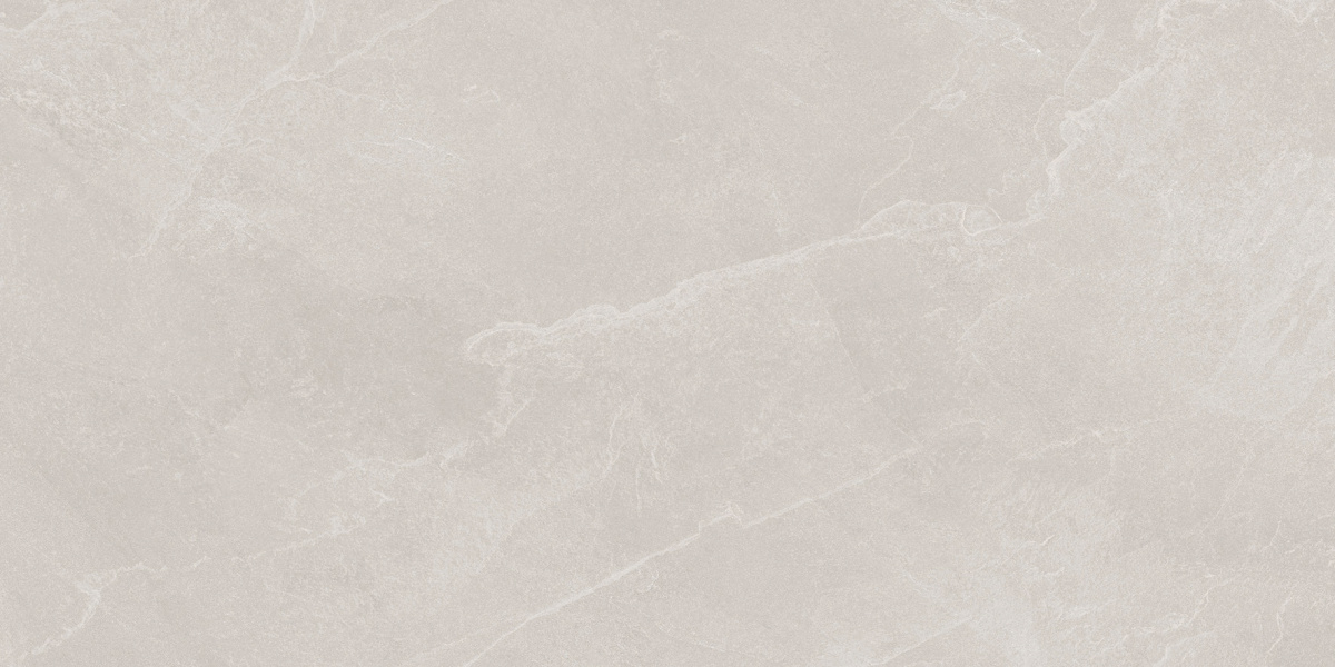 Archie Bianco Pro светло-серый матовый R10GR STR 60х120 Laparet