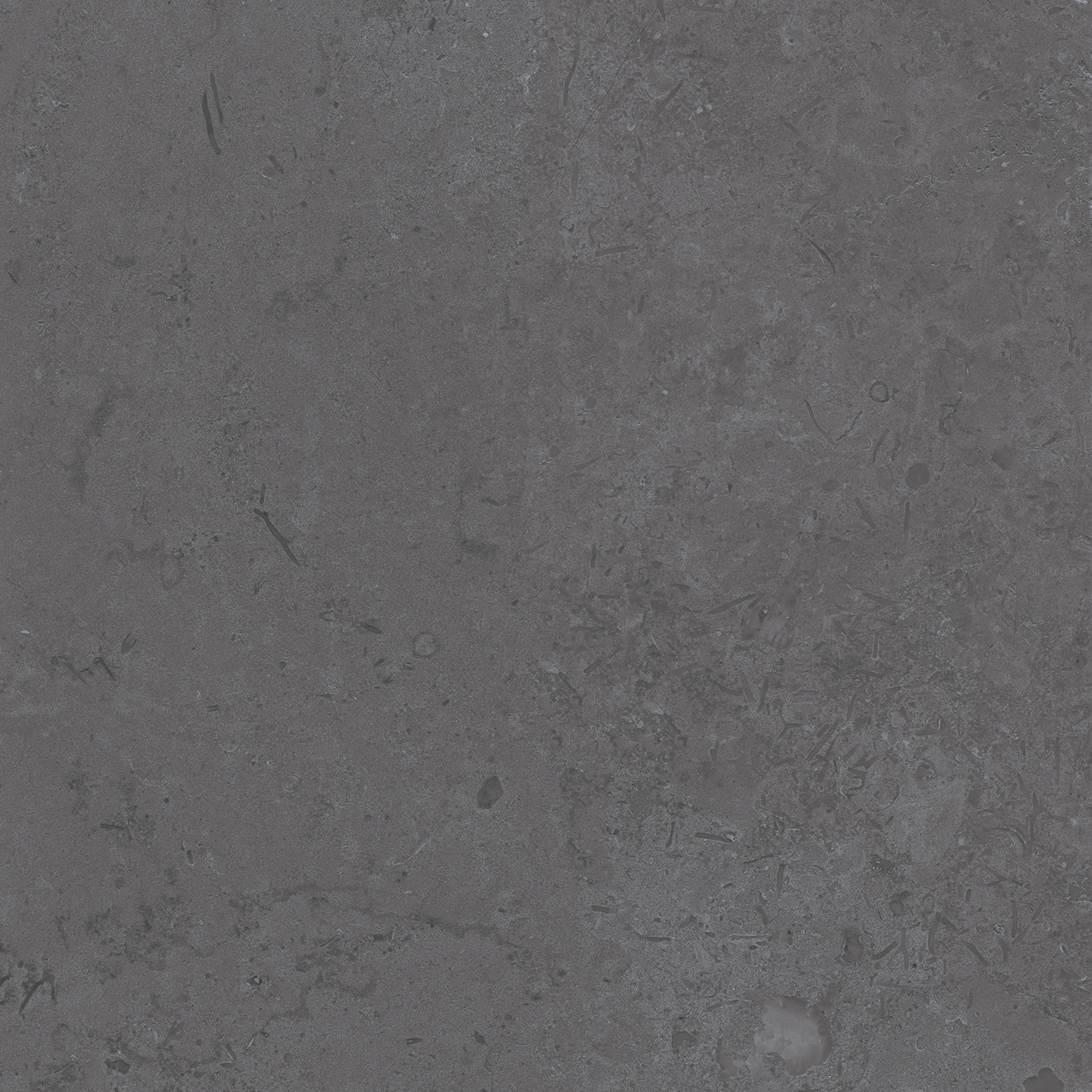 DD640800R Про Лаймстоун серый темный натуральный обрезной R10 60х60 Kerama Marazzi