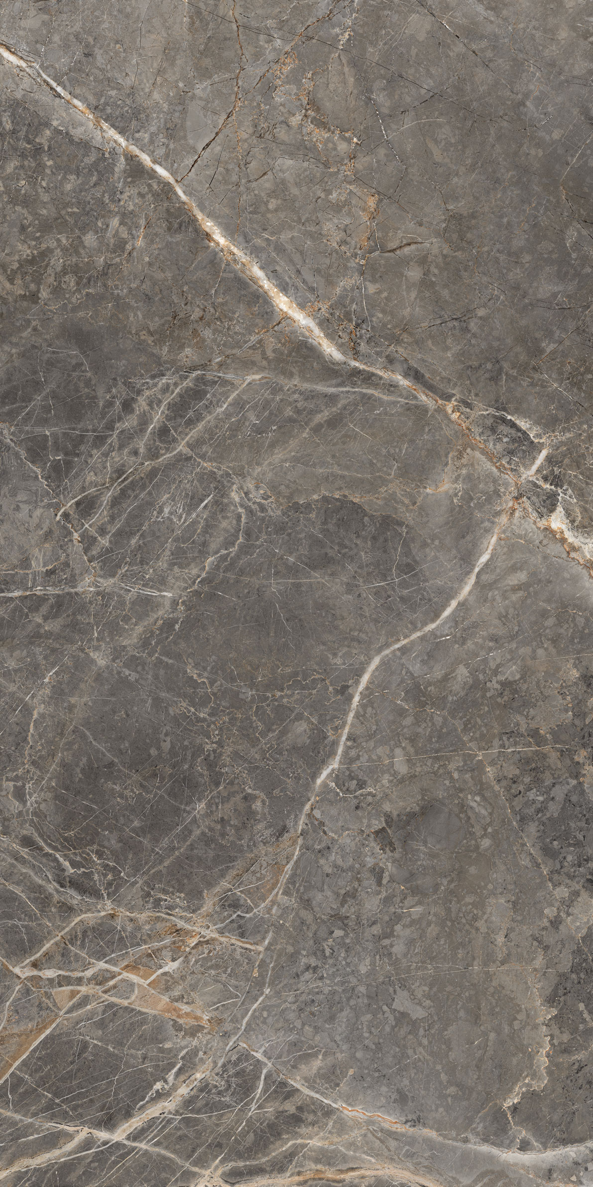 GT1206023109MGR Salsa Темно-серый 60x120 Global Tile фото 6