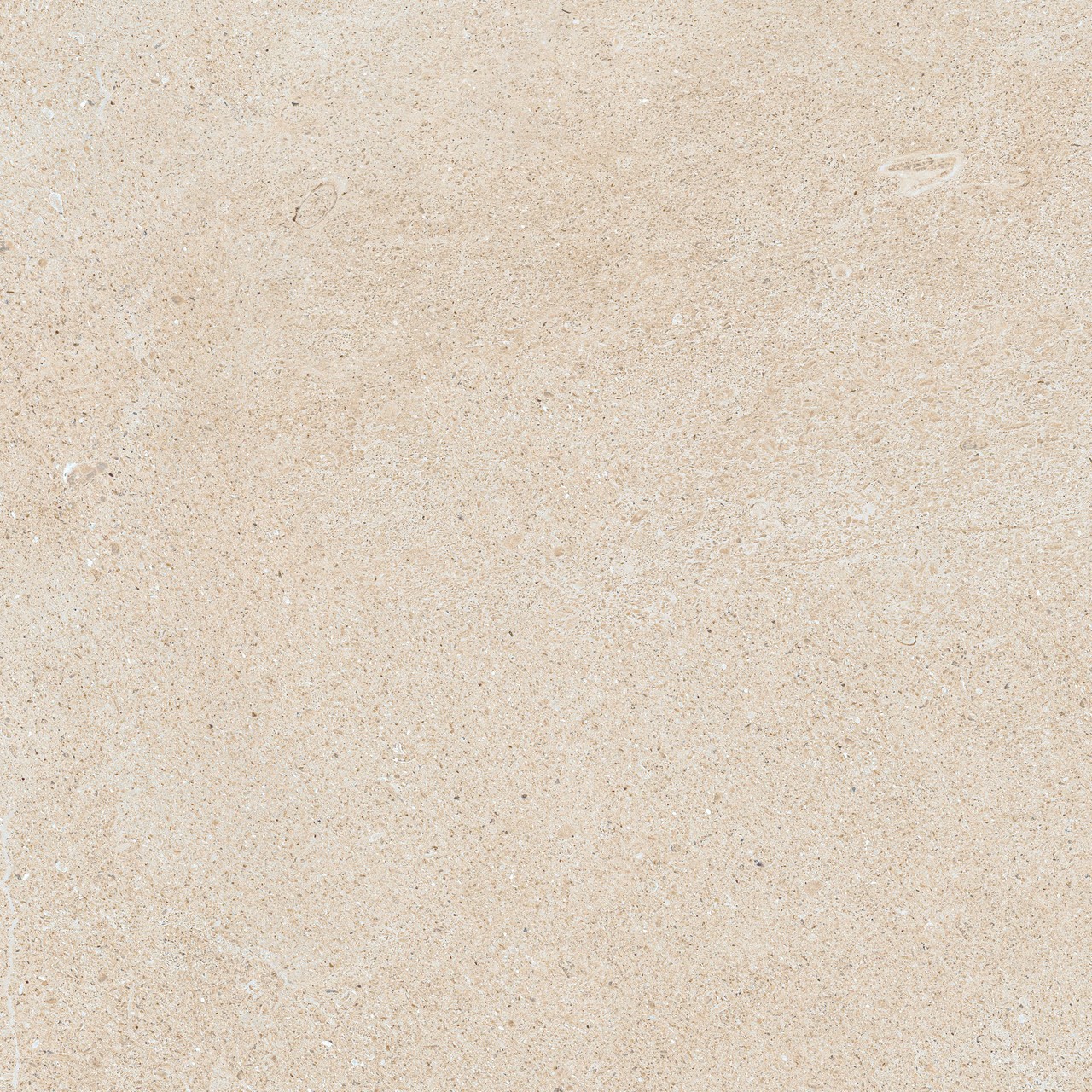 610010005835 Forte dei Marmi Rock Siberian Ivory Lastra 20mm 60x60 Atlas Concorde Russia