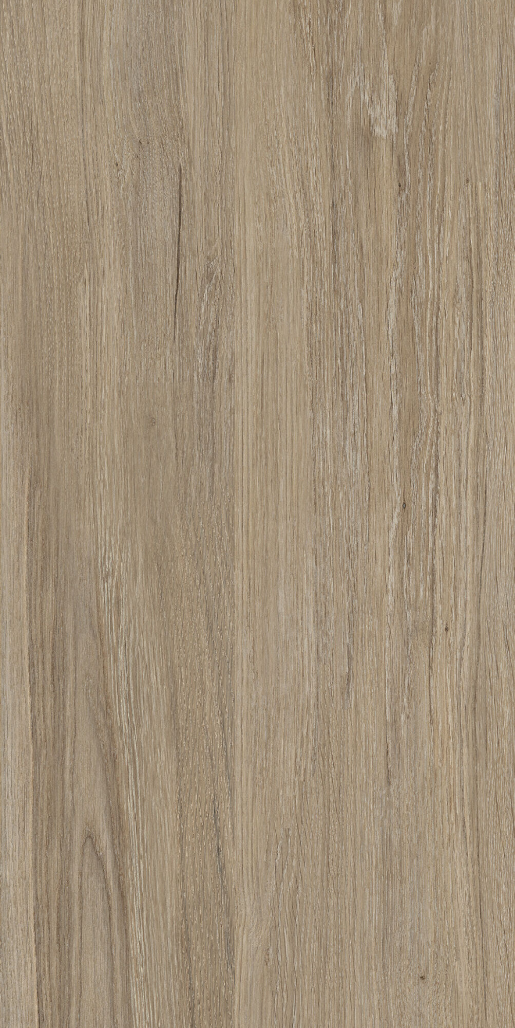 40683 Verbier Honey 4D/50X100X2/A/R 50x100 Peronda фото 14