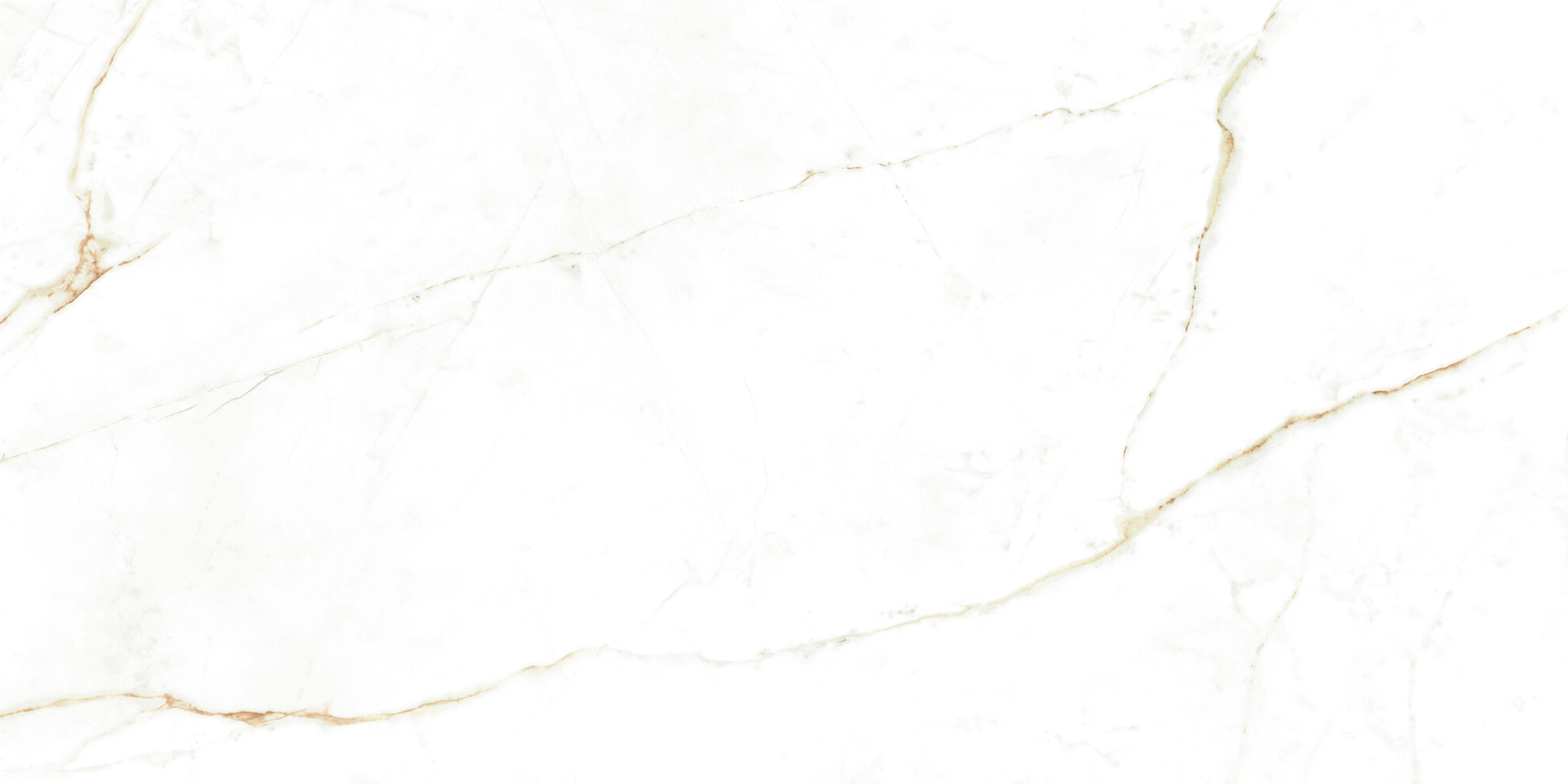 38712 Dual White NT/60X120X0,9/C/R 60x120 Peronda фото 5