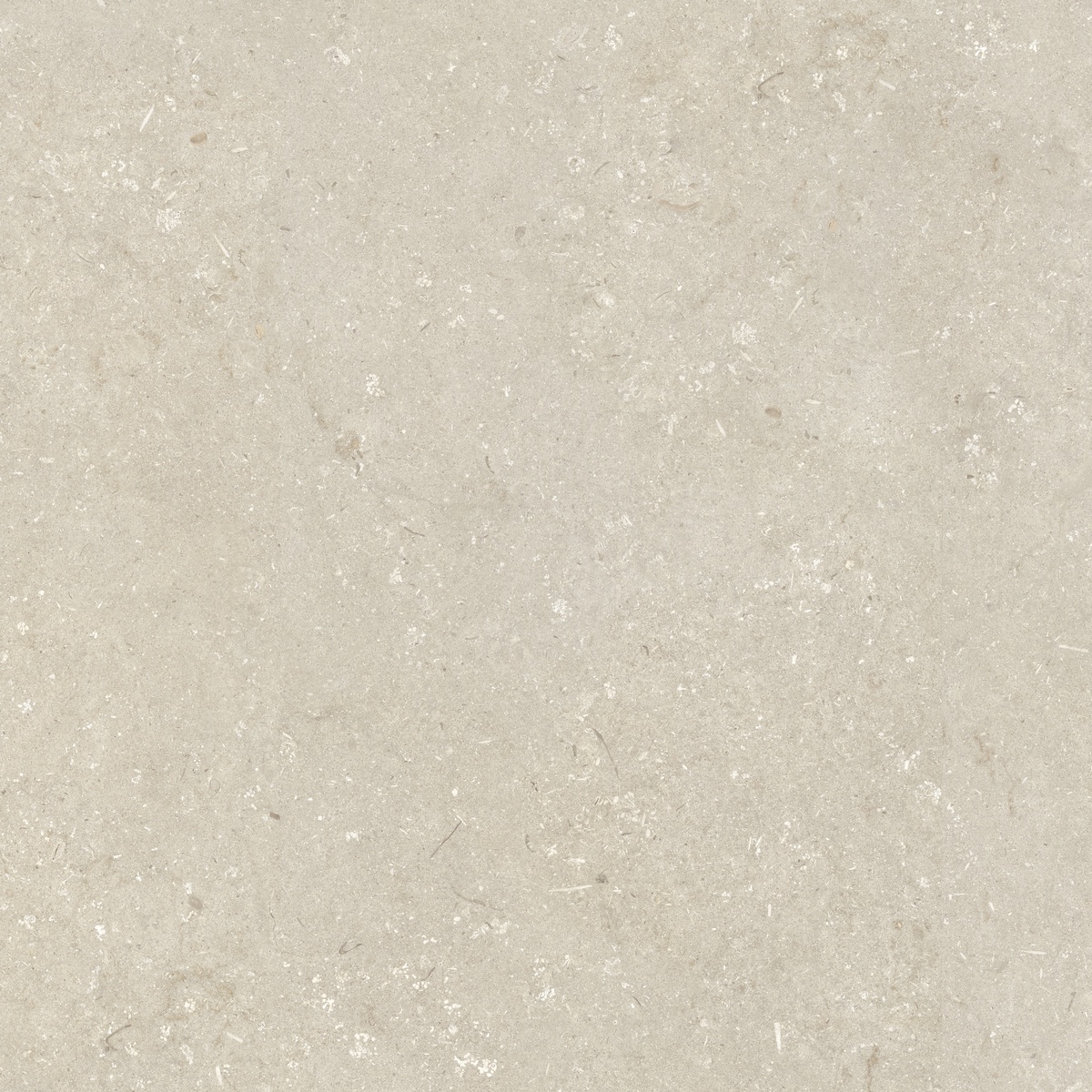 005848 Shellstone Beige 120x120 Dado Ceramica